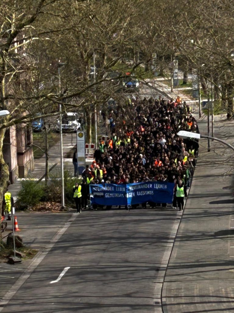 WhatsApp Image 2026-03-25 at 07.37.21n